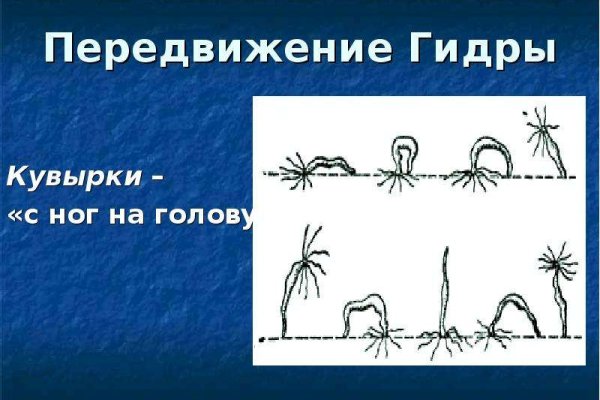 Кракен впн