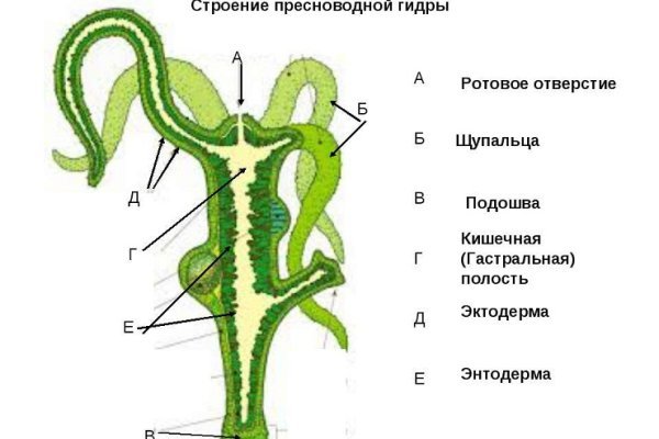 Kraken tor onion зеркало