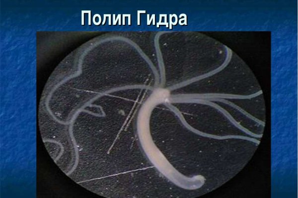 Kraken маркетплейс официальный