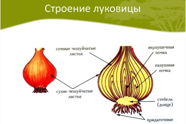 Ссылка на кракен тор