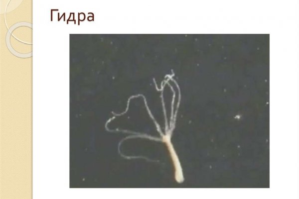 Сайт кракена в торе