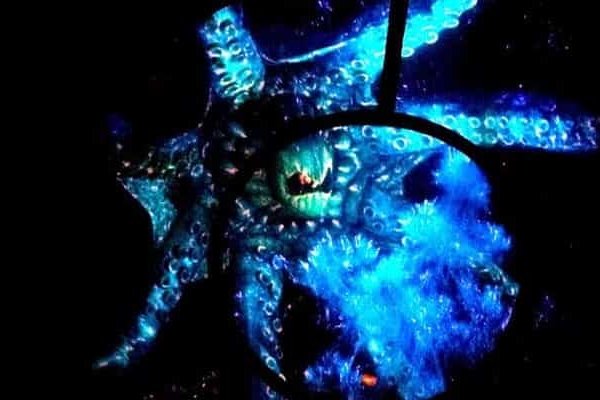 Kraken как найти ссылку