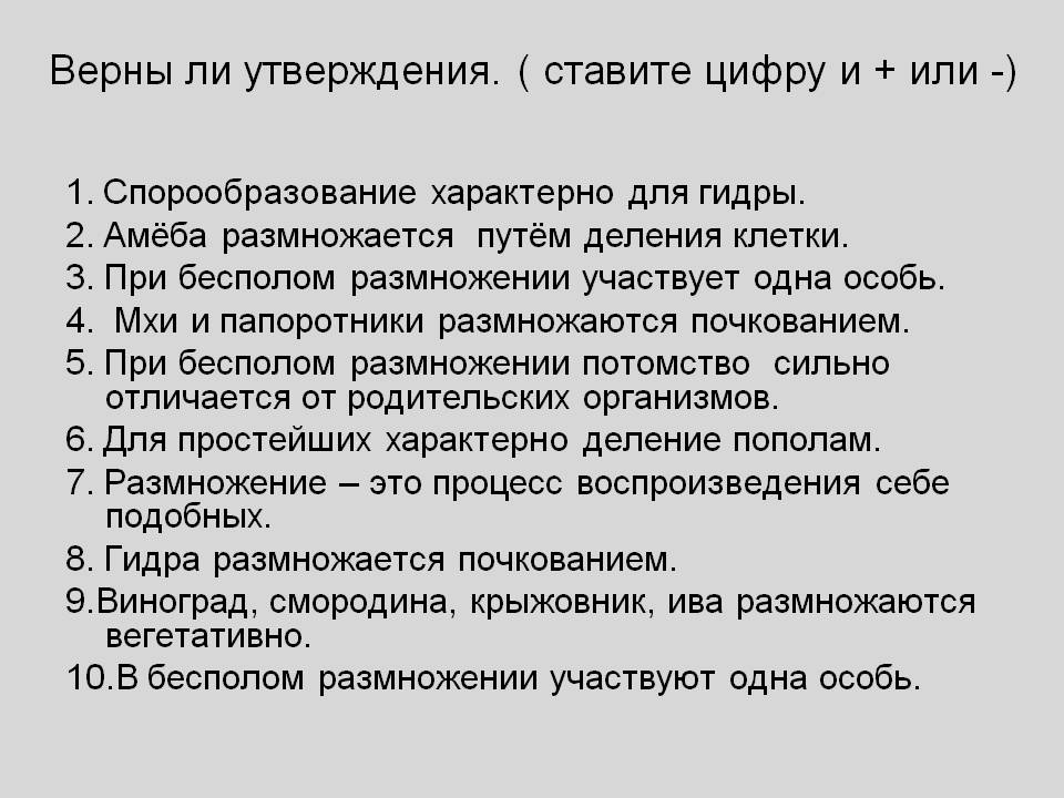 Kraken оригинальная ссылка