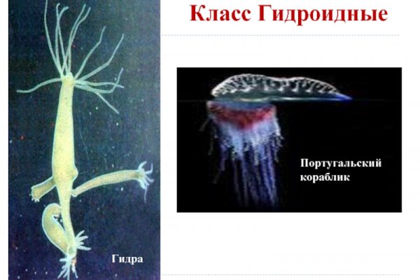 Ссылка на кракен в тор браузере