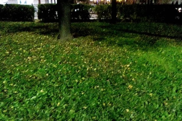 Аккаунты кракен