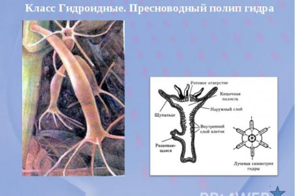 Гидра в даркнете