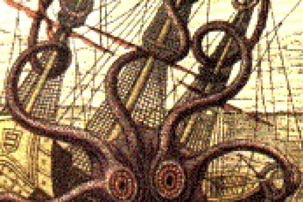 Kraken 14 at