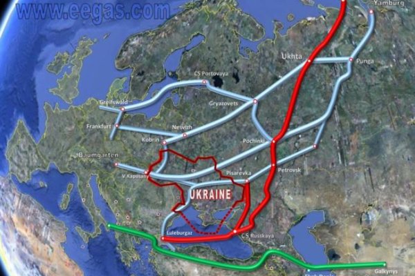 Где купить наркоты
